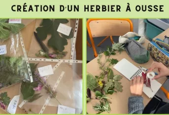 L'herbier du collège Sainte-Bernadette