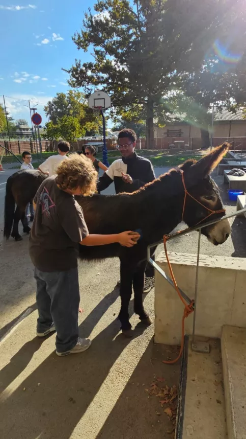 Jeunes auprès de l'âne