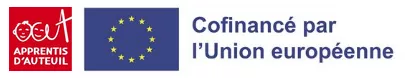 logo FSE