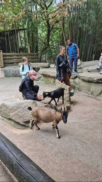 Parc animalier 3